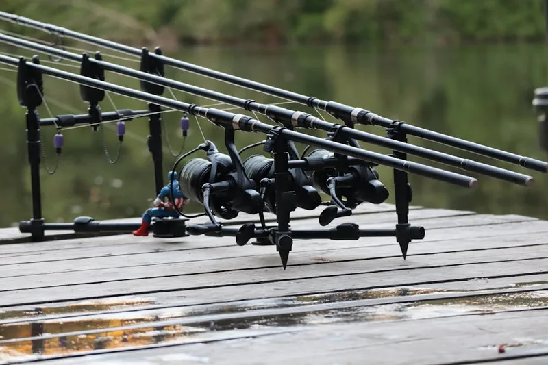 carp angler waterside setup ,  photo from Pexels