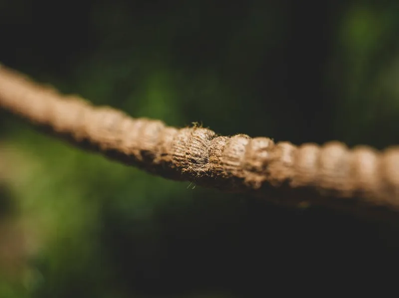 angling braid line closeup ,  photo from Pexels
