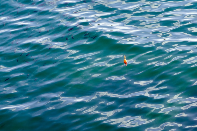 Fishing bobber floating on rippling blue water ,  photo from Unsplash