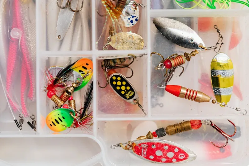 budget fishing tackle ,  photo from Pexels