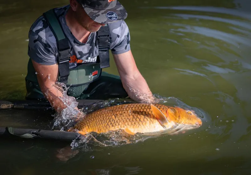 carp angler fishing gear for carp fishing retailers and distributors