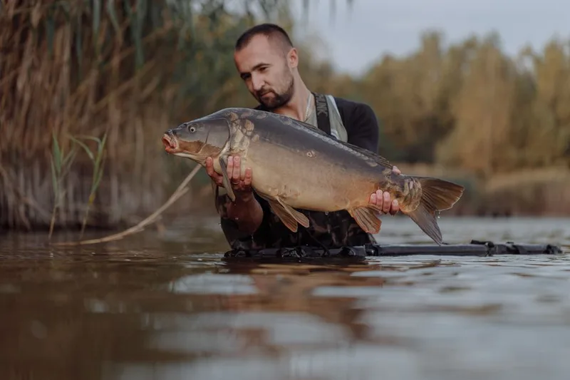 lake reservoir for carp fishing retailers and distributors