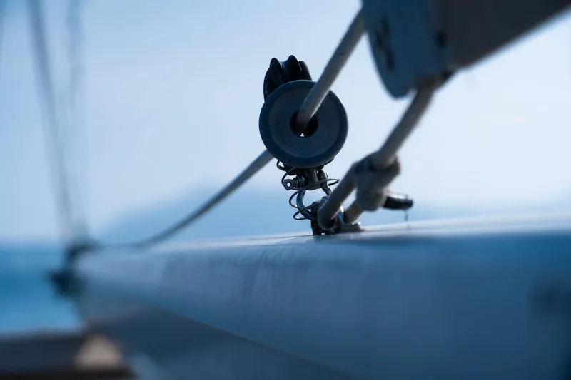 fluorocarbon leader rig ,  photo from Pexels