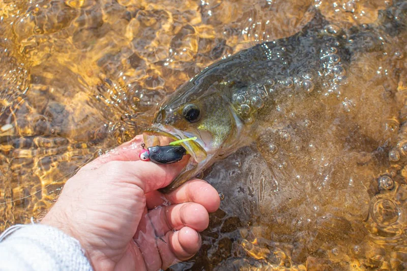 fishing Braid vs Fluoro vs Mono  Which Lasts Longest in Storage for fishing enthusiasts