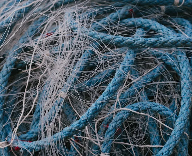 fishing braid PE rating ,  photo from Pexels