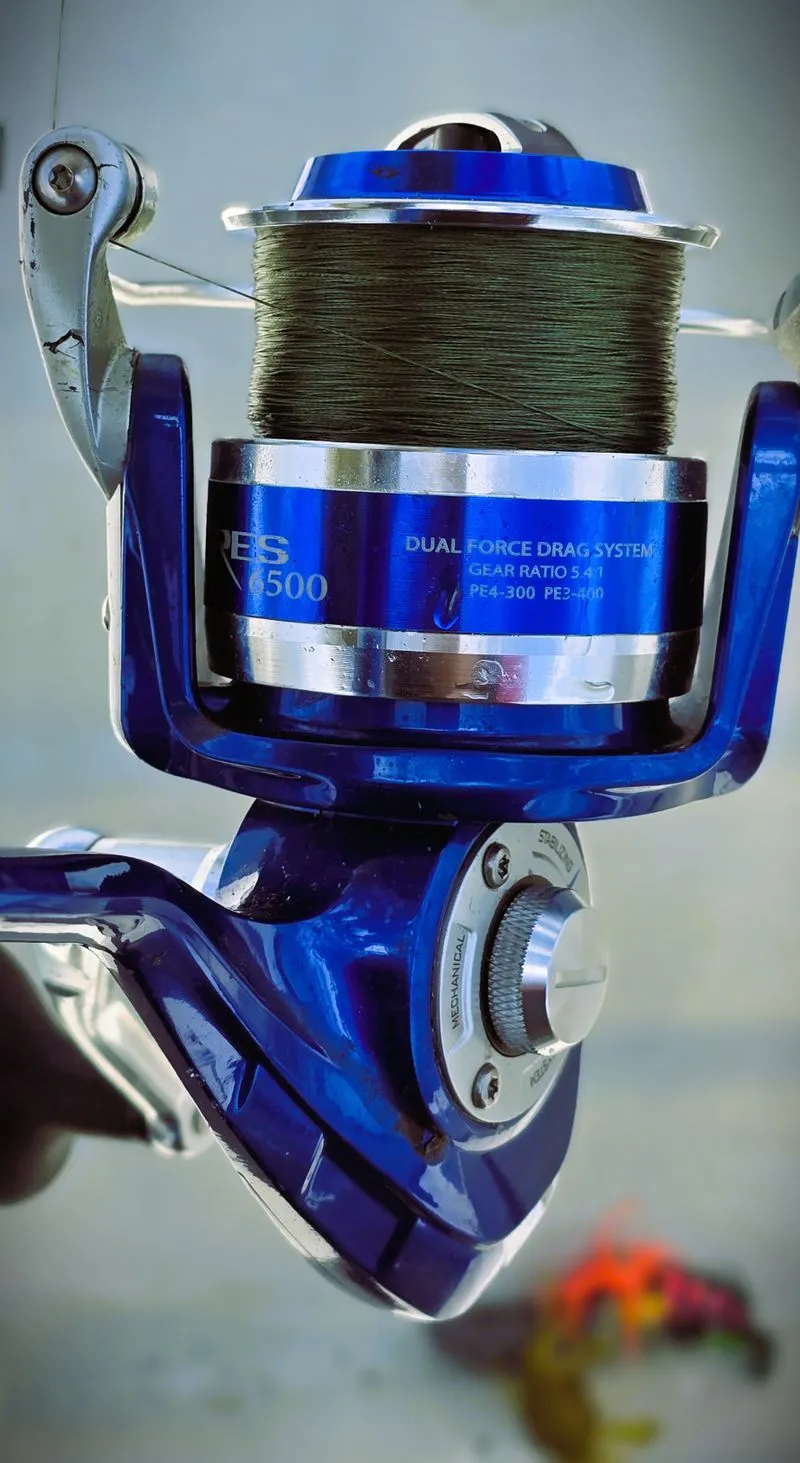 Spinning reel line setup with braid and mono backing