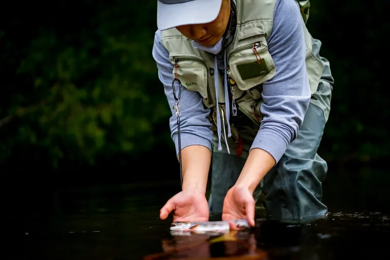 fly fishing trout angler ,  photo from Pexels